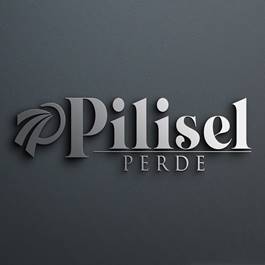 PİLİSEL